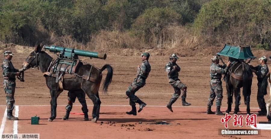 印度炮兵演习现骡子扛炮