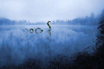 老鼠长着猪鼻子被命名猪鼻鼠 盘点因杂交长相奇特的动物