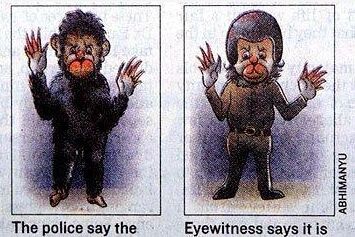 老鼠长着猪鼻子被命名猪鼻鼠 盘点因杂交长相奇特的动物