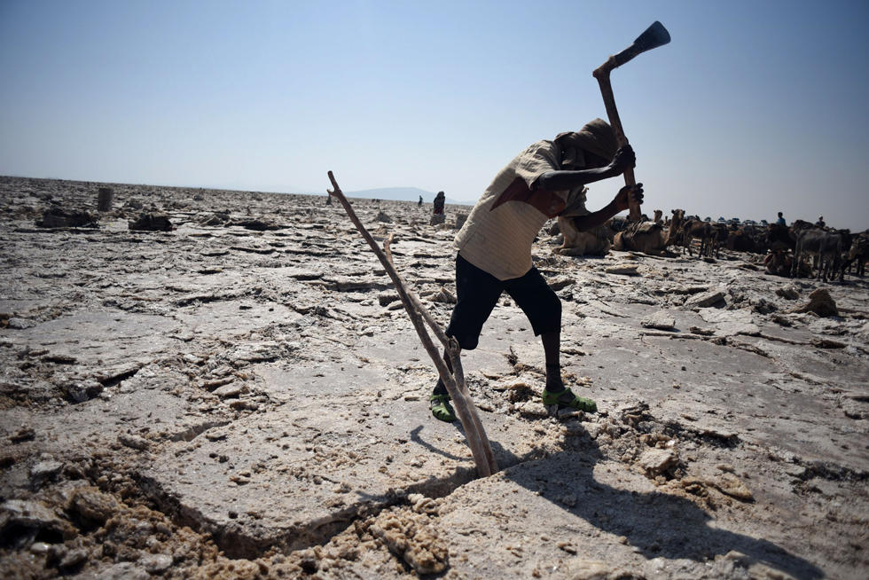 埃塞俄比亚古老的盐矿贸易 一块盐卖1元多