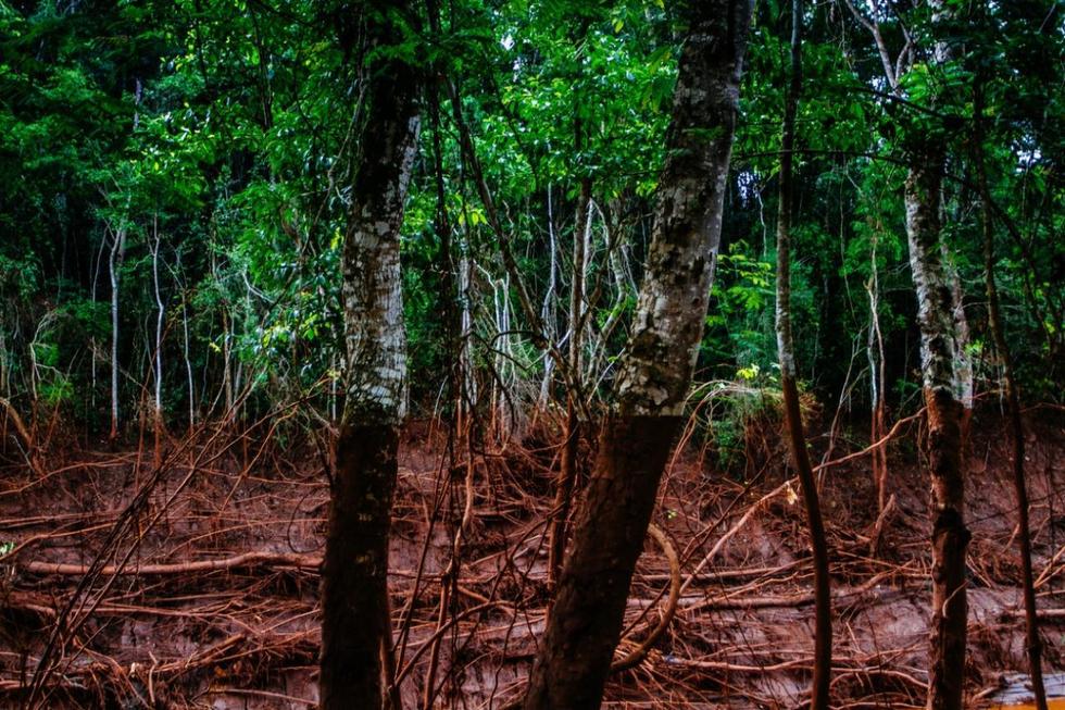 巴西最严重环境灾难 泥石流淹没屋顶