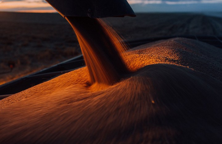 摄影师拍摄美国农民面临的困境