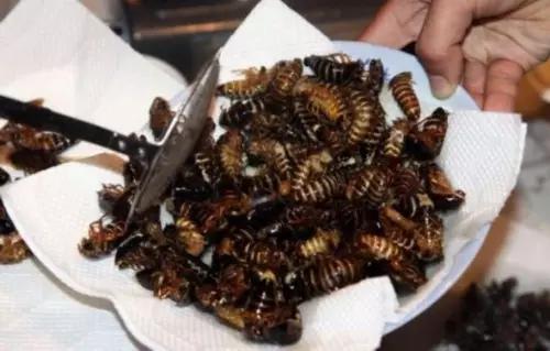 又黑又奇葩！盘点11款各国奇葩黑暗系美食