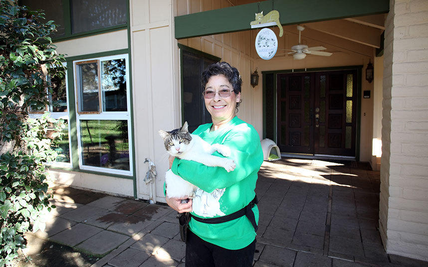 美国&ldquo;疯狂&rdquo;猫迷收养1100只猫 为养猫卖车卖婚戒