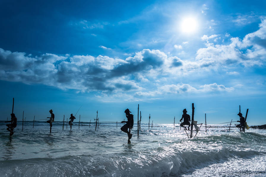 斯里兰卡的高跷捕鱼