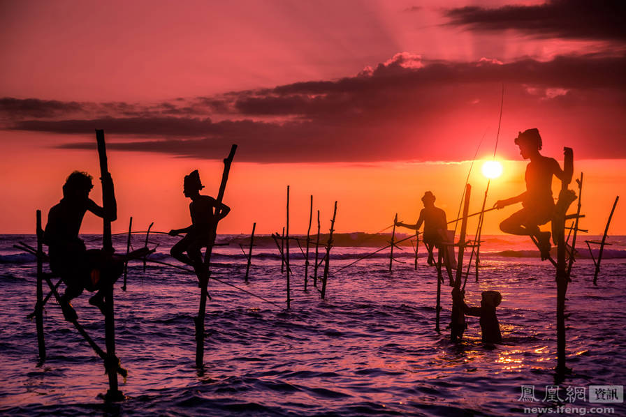 斯里兰卡的高跷捕鱼
