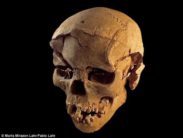 肯尼亚发现万年前人类遗骨 或记录史前大屠杀