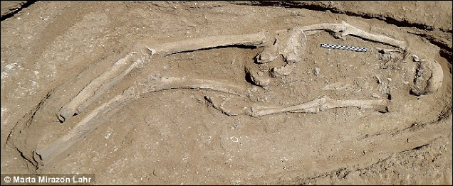 肯尼亚发现万年前人类遗骨 或记录史前大屠杀