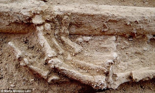 肯尼亚发现万年前人类遗骨 或记录史前大屠杀