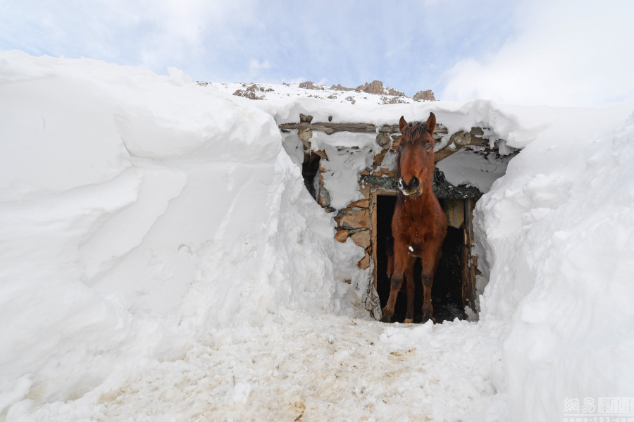 土耳其大雪淹没房屋 民众&ldquo;挖地道&rdquo;出行