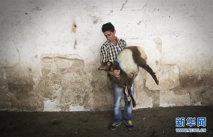 （国际&middot;出访配合）（5）走进伊朗　感受波斯风情