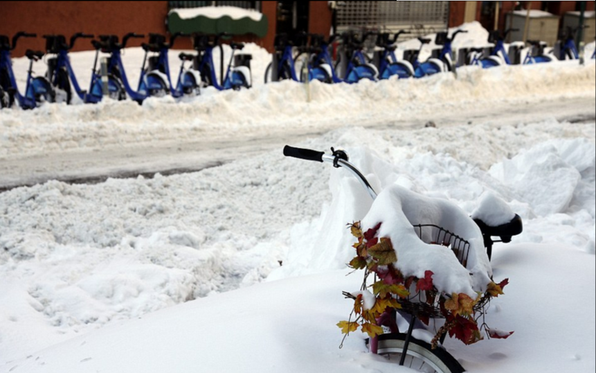 霸王级降雪洗礼美国东海岸 雪景如仙境