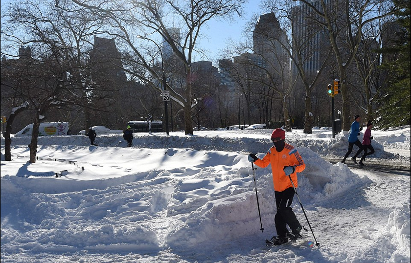 霸王级降雪洗礼美国东海岸 雪景如仙境