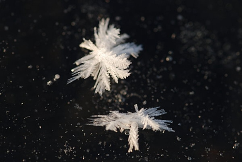 北海道湖面布满&ldquo;霜花&rdquo;冰清玉洁纯美如莲（图）