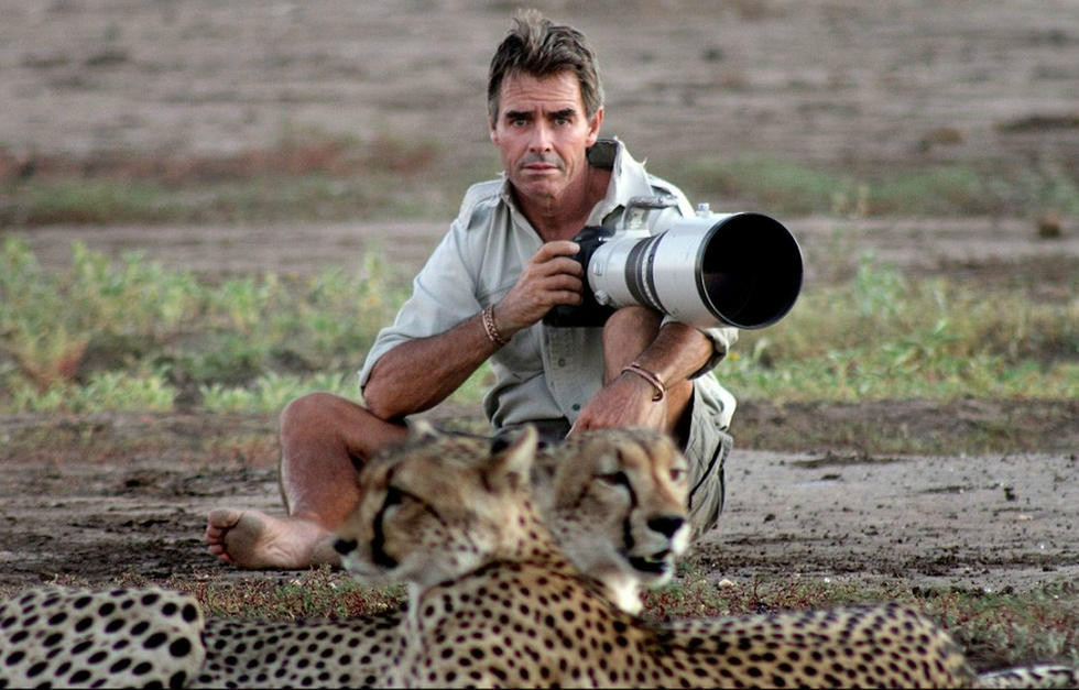 萌！非洲猎豹与摄影师亲密互动舔其脚趾