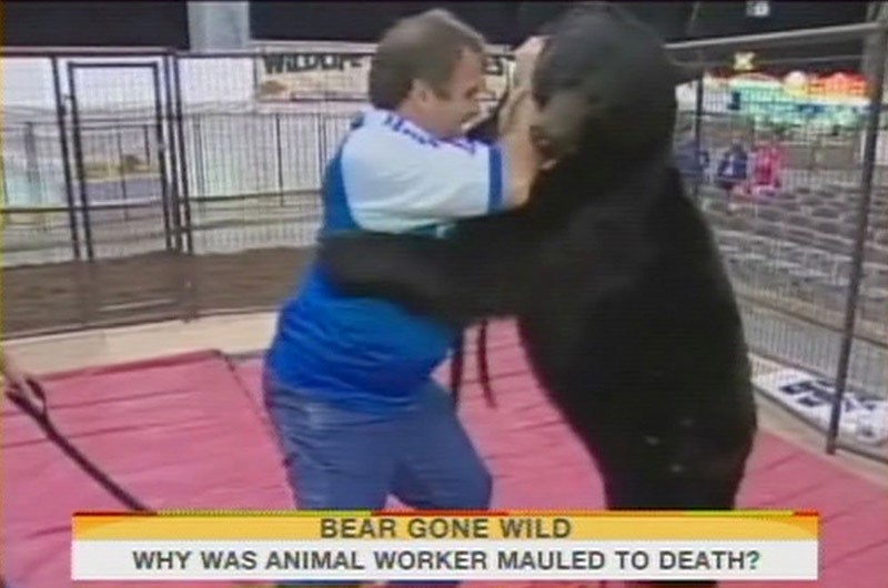 惊险！动物袭击人类的恐怖瞬间