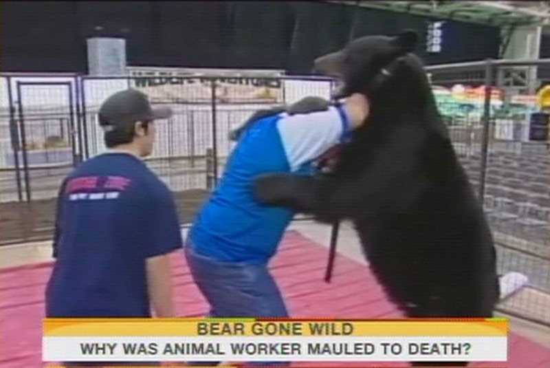 惊险！动物袭击人类的恐怖瞬间