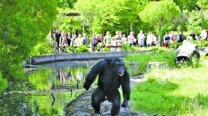 惊险！动物袭击人类的恐怖瞬间