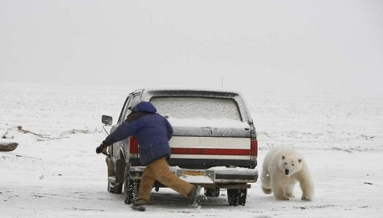 惊险！动物袭击人类的恐怖瞬间