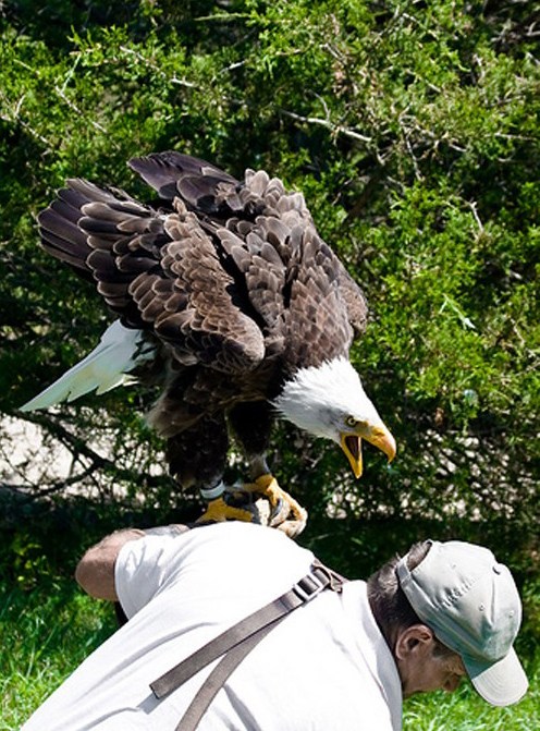 惊险！动物袭击人类的恐怖瞬间