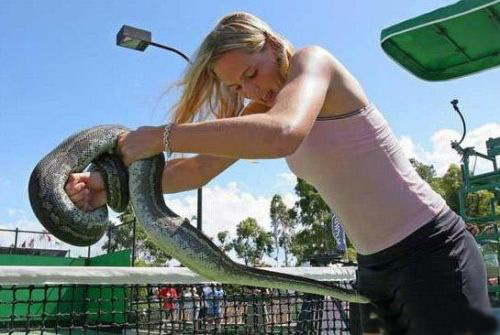 惊险！动物袭击人类的恐怖瞬间