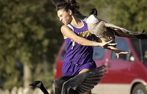 惊险！动物袭击人类的恐怖瞬间