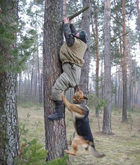 惊险！动物袭击人类的恐怖瞬间