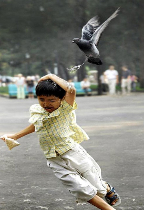 惊险！动物袭击人类的恐怖瞬间