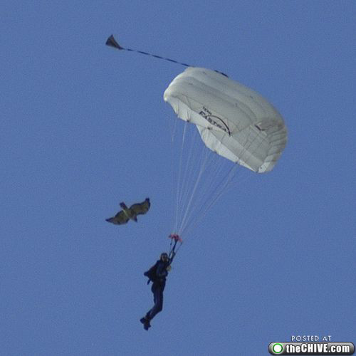 惊险！动物袭击人类的恐怖瞬间