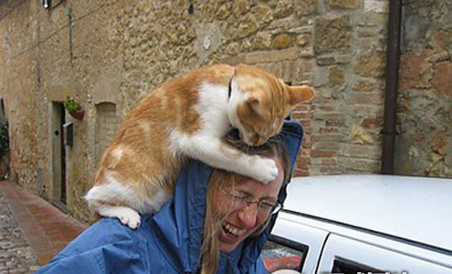 惊险！动物袭击人类的恐怖瞬间