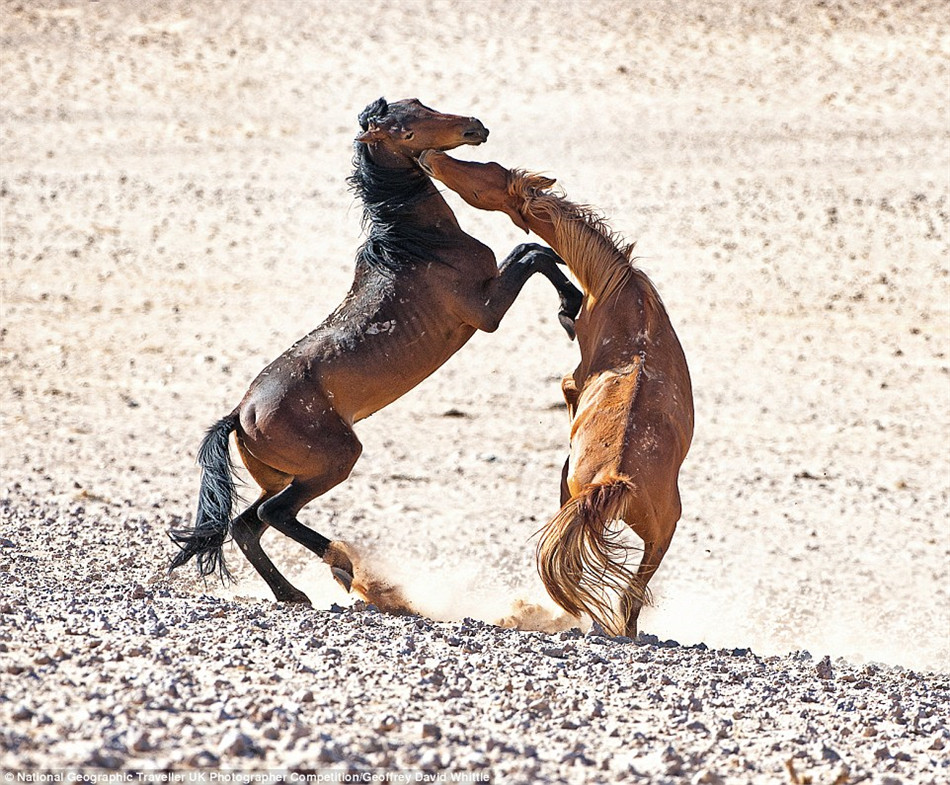 《国家地理旅行者》摄影大赛优秀作品集