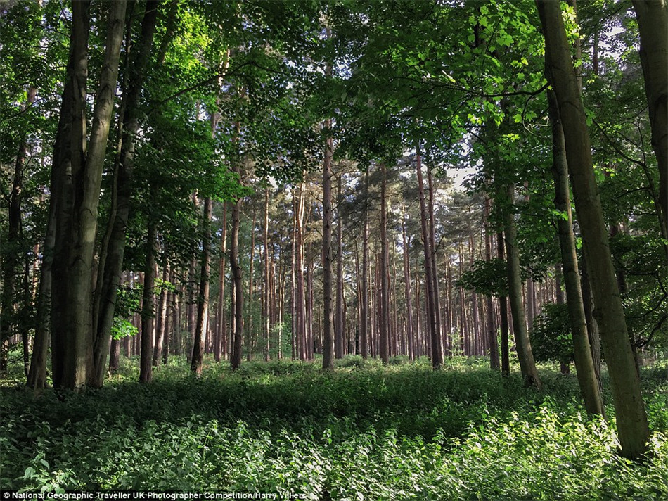 《国家地理旅行者》摄影大赛优秀作品集