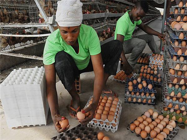 非洲热带丛林里的中国农场主