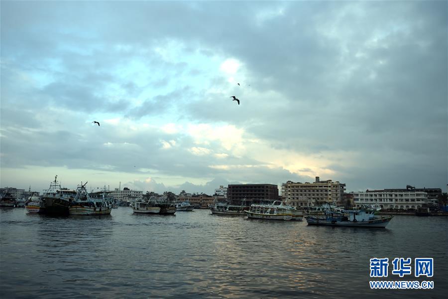 （国际）（5）尼罗河入海口的清晨鱼市