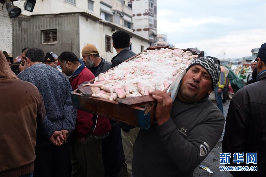 （XHDW）（2）尼罗河入海口的清晨鱼市