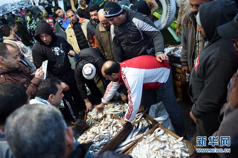 （XHDW）（4）尼罗河入海口的清晨鱼市