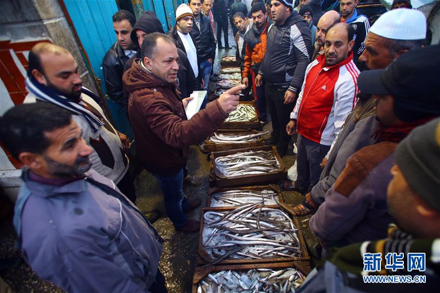 （XHDW）（6）尼罗河入海口的清晨鱼市