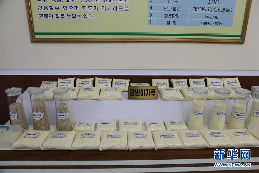 （国际）（3）走访平壤玉米加工厂