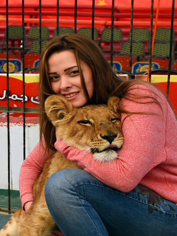埃及女郎&ldquo;与狮共舞&rdquo; 与野兽一起长大