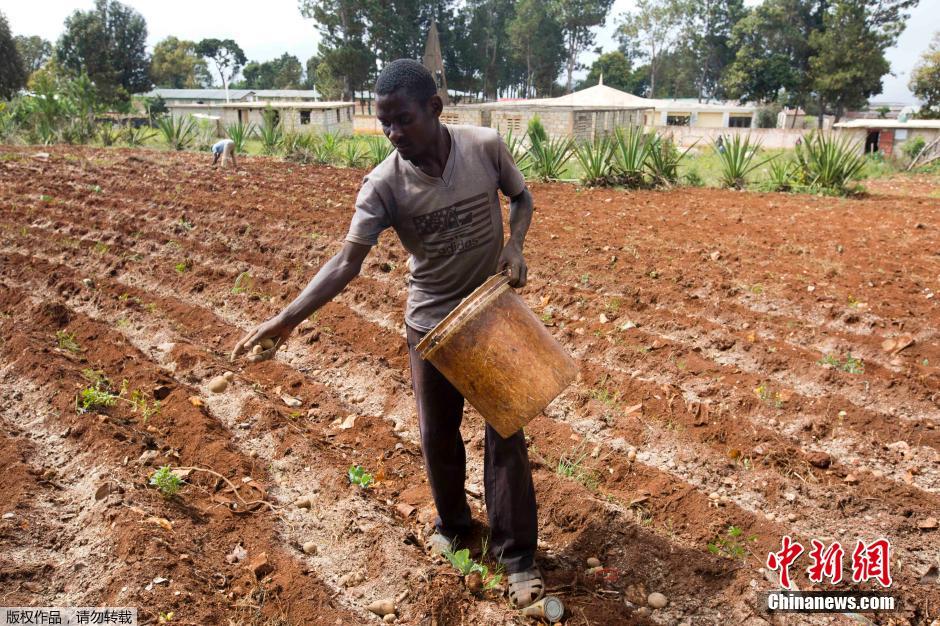 厄尔尼诺加剧海地旱情 饥荒造成大批儿童营养不良