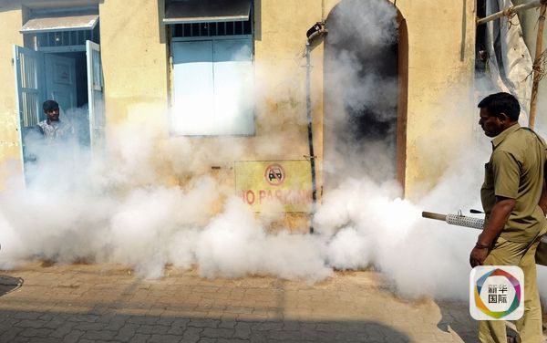 寨卡危害不只是新生儿小头症!