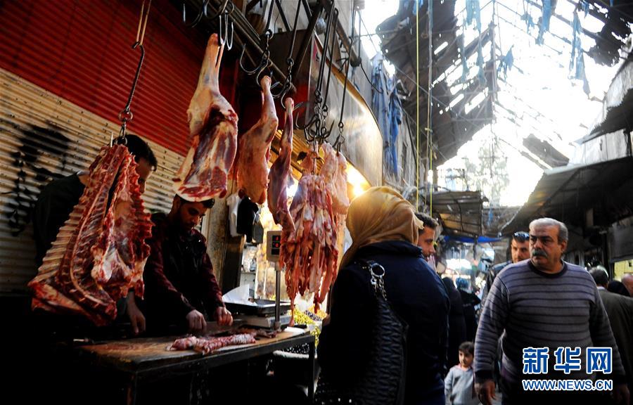 （國際）（1）敘利亞：停火之後