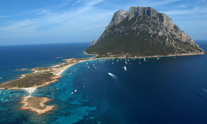 世界最小王国:11位居民拥有1百只羊