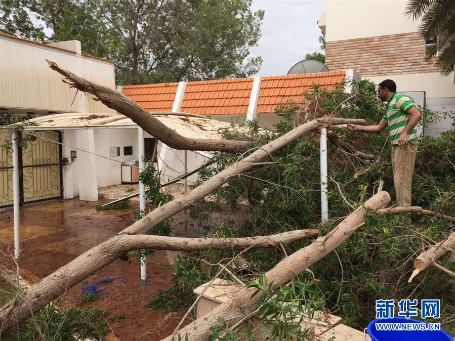 （国际）（3）阿布扎比遇罕见暴风雨
