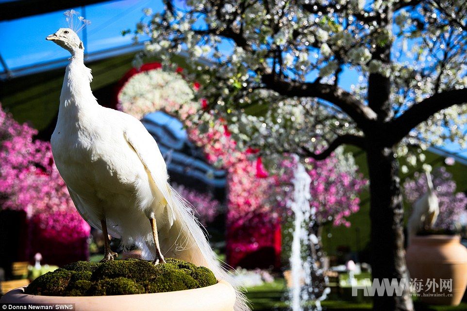 少女15岁奢华生日派对 花费近4000万元