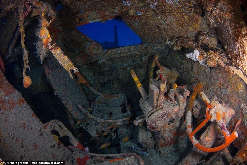 南太平洋海底发现二战军机