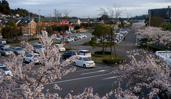 日本人难忍巴黎脏乱差 组团打扫卫生