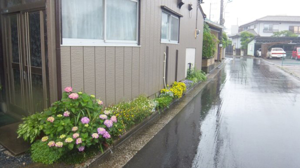 日本人难忍巴黎脏乱差 组团打扫卫生