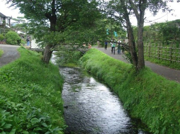 日本人难忍巴黎脏乱差 组团打扫卫生