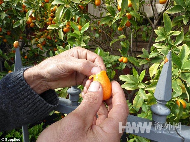 夫妇带全家骑行14个月 并像贝爷一样环保觅食